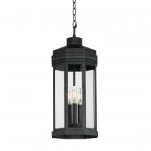 Outdoor Pendants