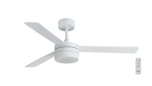 Ceiling Fans with Light